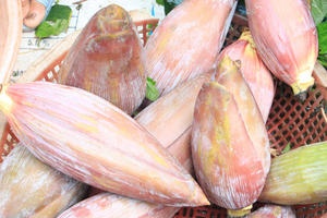 Fleur de bananier congelée du Vietnam - Product Image 2