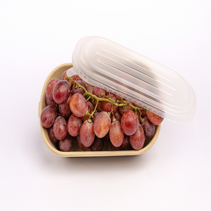Fruit Packaging <b>Eco</b>-Friendly Anti Break Compostable Molded Pulp Tray Fresh Fruit Tray From Vietnam Manufacturer Paper Boxes - Product Image 1