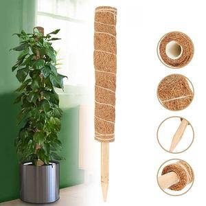 Varillas de Soporte para Plantas de Fibra de Coco al por Mayor, Tótems de Musgo, Varillas para Trepar - Product Image 5