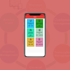 Sistema de contabilidad desarrollo de la empresa en la India | Premio contabilidad servicios de desarrollo de Software por Webroot Infosoft - Product Image 1