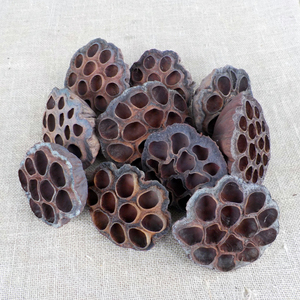 Gousses de lotus séchées pour les restaurants et les hôtels - Origine Vietnam - Product Image 2