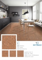 Carrelage de sol en porcelaine brillante, lot de 12 pièces, ciment numérique glacé, carreaux de sol, scène d'extérieur