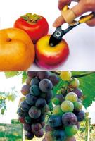Outil de taille industriel supérieur pour couper les tiges de fruits, lame en acier allié à haute teneur en carbone de 140 mm, poignée en plastique souple