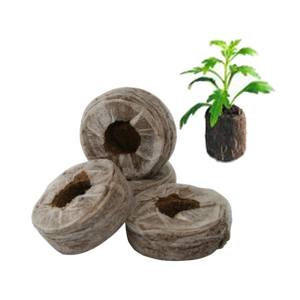 Tabletas de coco/Bloque de turba de coco para agricultura para mejora del suelo Tracy + 84 966058257 - Product Image 1