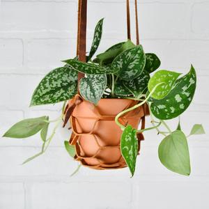 Elegante y Hermoso Soporte para Plantas de Cuero de Alta Calidad - Product Image 1