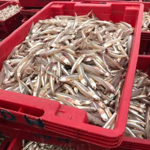 जमे हुए Anchovy मछली/वियतनाम से चुन्नी सस्ते कीमत-Whatsapp 0084 989 322 607