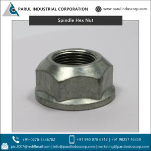 การผลิตตามสัญญาความแข็งแรงสูงที่กำหนดเองทำสแตนเลส M22 * 1.5แกน Hex Nut - Product Image 6