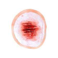 Pasta de silicona para <span class=keywords><strong>Cicatrices</strong></span> hechas a mano, para lesiones realistas/película de autodaño, efectos especiales, goma de silicona para maquillaje - Product Image 2