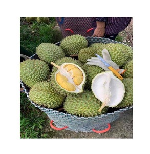 ทุเรียนอินทรีย์สดและแช่แข็งจากเวียดนามข้อมูลทองคำ99คุณภาพสูง - Product Image 1