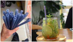 Uso de procesamiento crudo de paja de arroz seco de Vietdelta para bebidas navideñas - Product Image 4