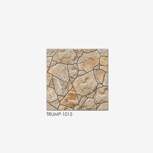Fabricant et fournisseur indien de carreaux de sol en porcelaine pour parking 400x400mm - Product Image 6