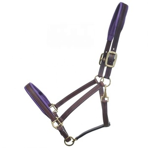 Qualité Supérieure - Bridon Traditionnel pour Cheval - Rênes en Cuir Plaqué - Bande de Nez Plus Large de 2 Pouces - Bande de Frontale Simple - Product Image 1