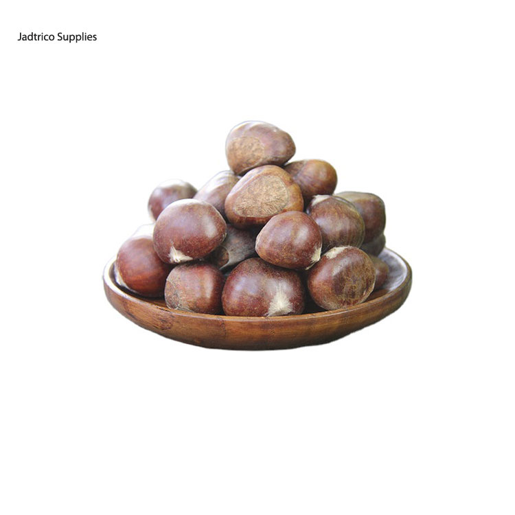 100% Органические свежие фиолетовые коричневые каштаны высшего качества по лучшей конкурентоспособной цене, мировой спрос