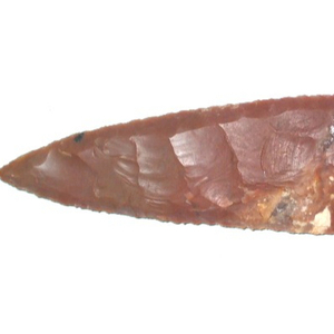 Etley Arrowehadsออนไลน์ | รับEtley Arrowehads | ซื้อEtley Arrowehads - Product Image 1