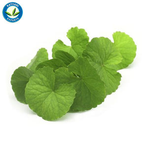 น้ำมันหอมระเหยธรรมชาติบริสุทธิ์100% จากอินเดีย - Product Image 1