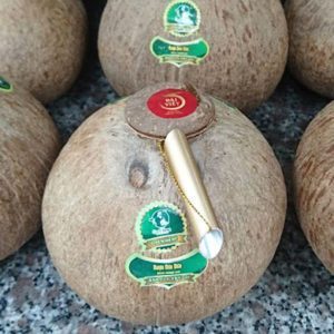 Rượu Dừa Tự Nhiên/Đặc Sản Việt Nam/Rượu Trái Cây Nhiệt Đới/W. S _ M. S BERYL:+ 84392949350 - Product Image 4