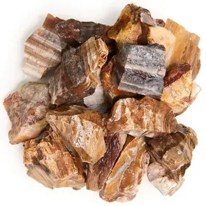 rough stone Petrified Raw rough tumbled for natural Unpolished rough tumbled stones gemstone crystal natural