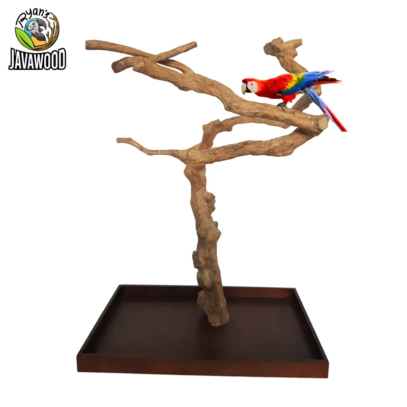 Java wood parrot bird perch tree stand