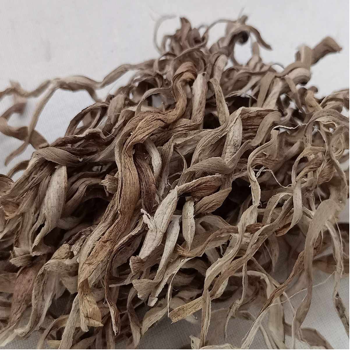 Водный Гиацинт для порезания волокон размером 6 см, подходит для образовательных и технических целей,