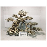 Produits Spéciaux - Fournisseur Fiable au Vietnam Bois Flotté Bonsaï pour Fond d'Aquarium
