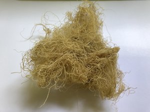 GRACILARIA VIETNAMITA FRESCA CON ALTA CALIDAD // Ámbar - Product Image 5