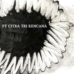 Quemador de incienso nepalés, máquina de fabricación de polvo de carbón negro, palo de incienso negro LAHA DAR, el mejor de Pokemon, nepalí, ASIA del Sur - Product Image 4