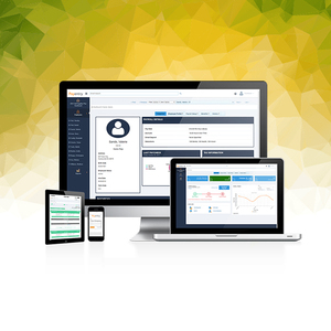 Richontop HR — société de développement logiciel en inde, win HR et Payroll, Services de développement Web par microprocesseur cybersoft - Product Image 4