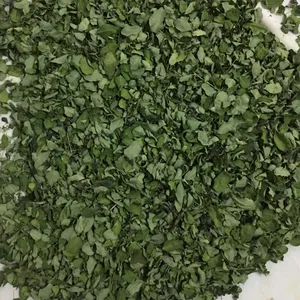 Foglia secca di Moringa nutrizionale pura (Mallungay) dall'india per esportazione 100% grado di esportazione completamente pulito