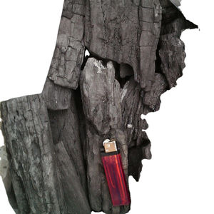 CHARBON DE BOIS DUR POUR L'INDUSTRIE SIDÉRURGIQUE - Product Image 1