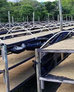 ฉลากส่วนตัวเมล็ดกาแฟดิบ (อาราบิก้า/โรบัสต้า) + 84905010988 - Product Image 6