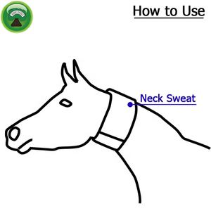 Sweat complet en néoprène pour cheval - Product Image 6