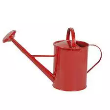 High Quality Galvanized Watering Pot for Home Balcony Planter Garden Watering Can Modern Design Metal Iron Watering Can - Product Image 3