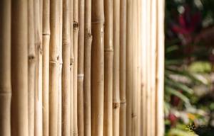 Premium Supplier Good Price Rolled Wood Bamboo Garden Fence Panels <b>Security</b> - Product Image 6