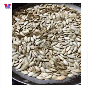 Roasted / Dried Skin Pumpkin Seeds / Amber