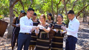 Vietnam Robusta Grado 1 Granos de café verde Sabor amargo 90% Tamiz 18 Mejor precio con buena calidad Limpiado - Product Image 4