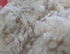 ขยะฝ้ายที่ไม่ฟอกขาว/บัตรลอย (แถบแบน)/lickerin A & B คุณภาพสูงสำหรับการส่งออก (Ms. xavia + 84 333371330) - Product Image 2