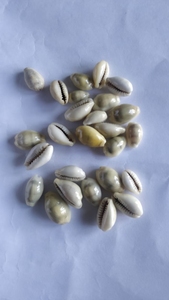 ที่กำหนดเองทำปุ่มเชลล์สำหรับศิลปะและงานฝีมือ,Scrapbooking,นักออกแบบเครื่องประดับ,งานฝีมือเด็ก - Product Image 3