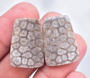 Wholesale Free Size Natural Fossil Coral Semi Precious Stone Pair Fossil Coral Matched Gemstone Pair - Product Image 5