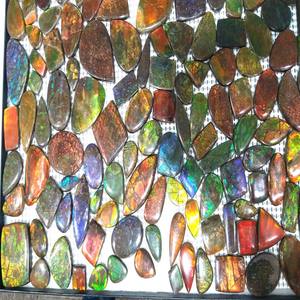 Cabujón de Ammolita, Piedra Preciosa Natural Pulida, Venta al por Mayor, Alta Calidad AAA, Multicolor, Forma Ovalada/Surtida para Cabujones - Product Image 4