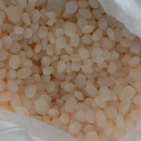 Indonesische Kaong Palm Moer Fruit Suiker Palm Beste Kwaliteit Direct Factory Fabrikant Nieuwe Seizoen