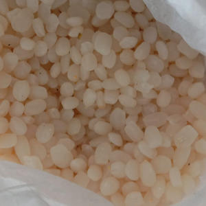 ถั่วปาล์ม Kaong อินโดนีเซียผลไม้น้ำตาลปาล์มคุณภาพดีที่สุดโรงงานโดยตรงผู้ผลิตฤดูกาลใหม่ - Product Image 4