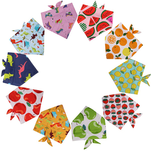 ผ้าพันคอสัตว์เลี้ยงดีไซเนอร์ - Product Image 5