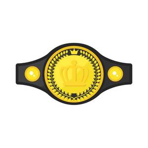 2021Custom Professional Fighting Classic Championship Belt Wrestling Belt - Product Image 1