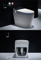 Nouvelle cuvette de toilette automatique à venir de style occidental WC mural intelligent