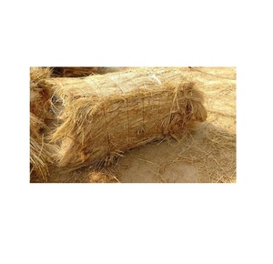 HAY paja VIETNAM Mejor Precio de alta calidad HAYS pajar RICESTRAW VIETNAM/Rachel: + 84896436456 - Product Image 3