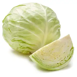 Leading Exporter von Top Quality Wholesale Vegetables Fresh Cabbage Cheap Price Green Cabbage von 1.5Kg COMMON Cultivation