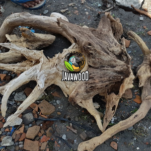 Madera Flotante para Acuario de Diseño Superior, Madera Natural para Peceras Hecha de Material Natural Indonesio - Product Image 6