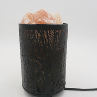 2024 nouveauté Himalaya rose roche sel cristal lampe sculpté à la main artisanat naturel décoration de la maison Logo personnalisé taille personnalisée