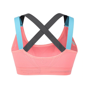 Recién llegado, Sujetador deportivo para mujer, ropa de gimnasio y yoga de secado rápido para adultos, opciones de talla grande, sujetador de la mejor calidad para levantamiento de pesas - Product Image 6