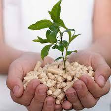 เม็ดไม้และเม็ดแกลบสำหรับน้ำมันเชื้อเพลิงราคาถูก - Product Image 2